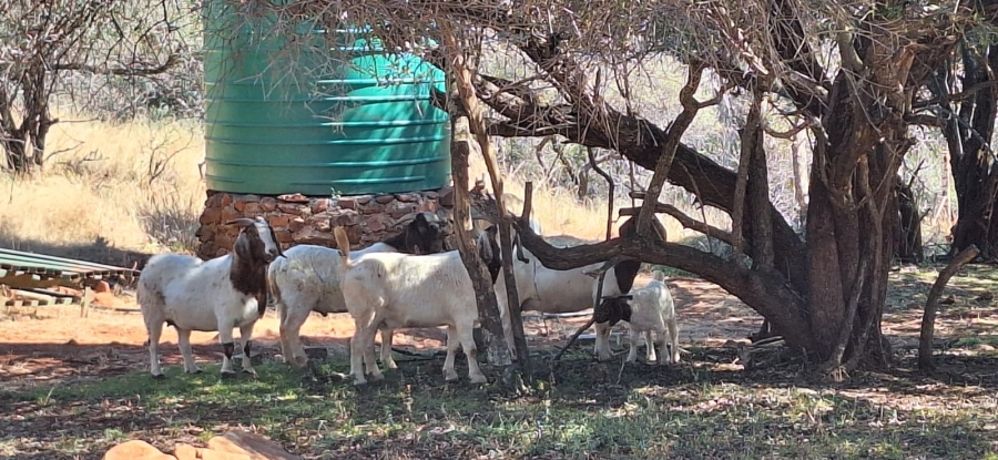2 Bedroom Property for Sale in Rustenburg Rural North West